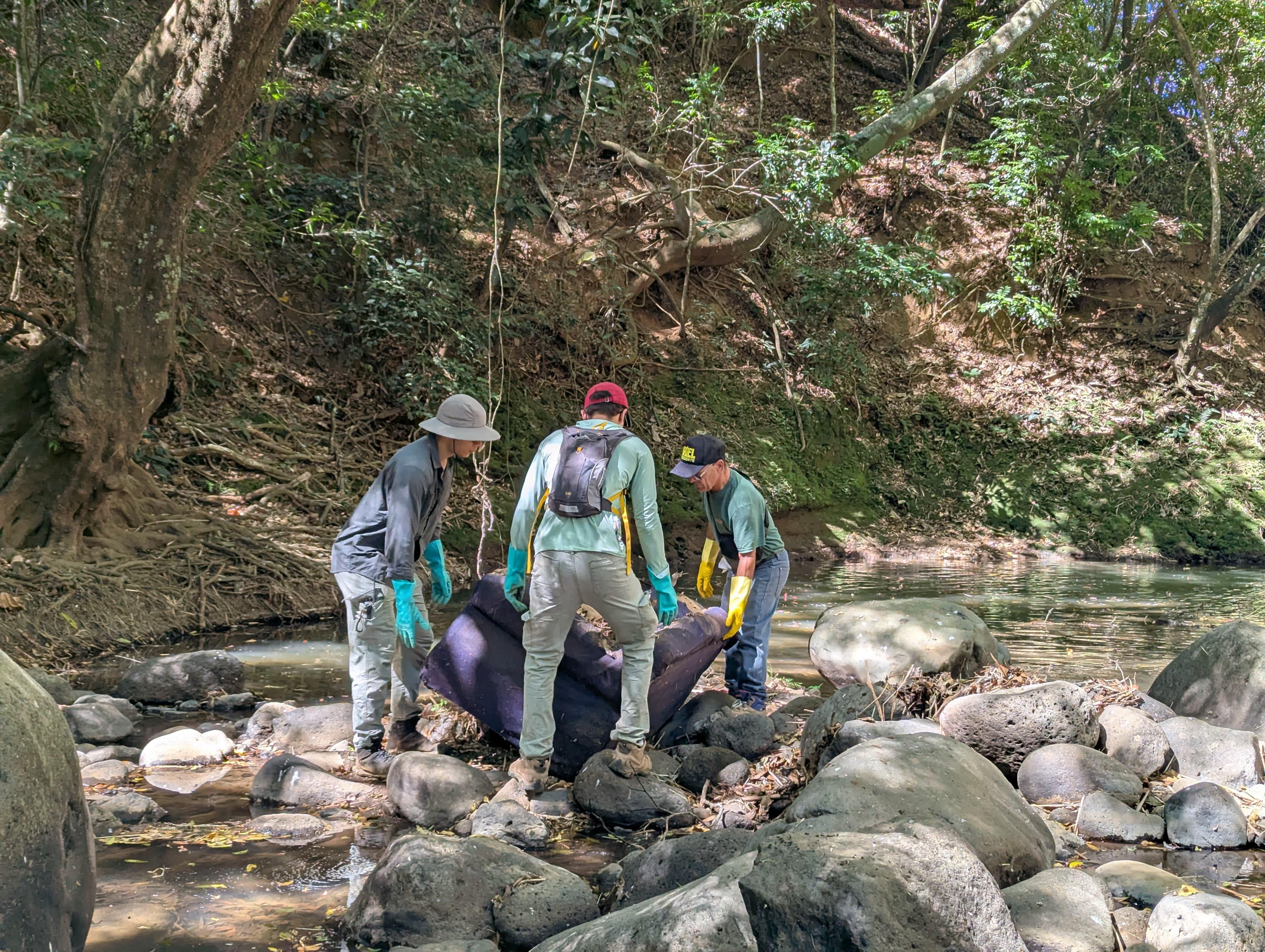 Trabajo en equipo en el río